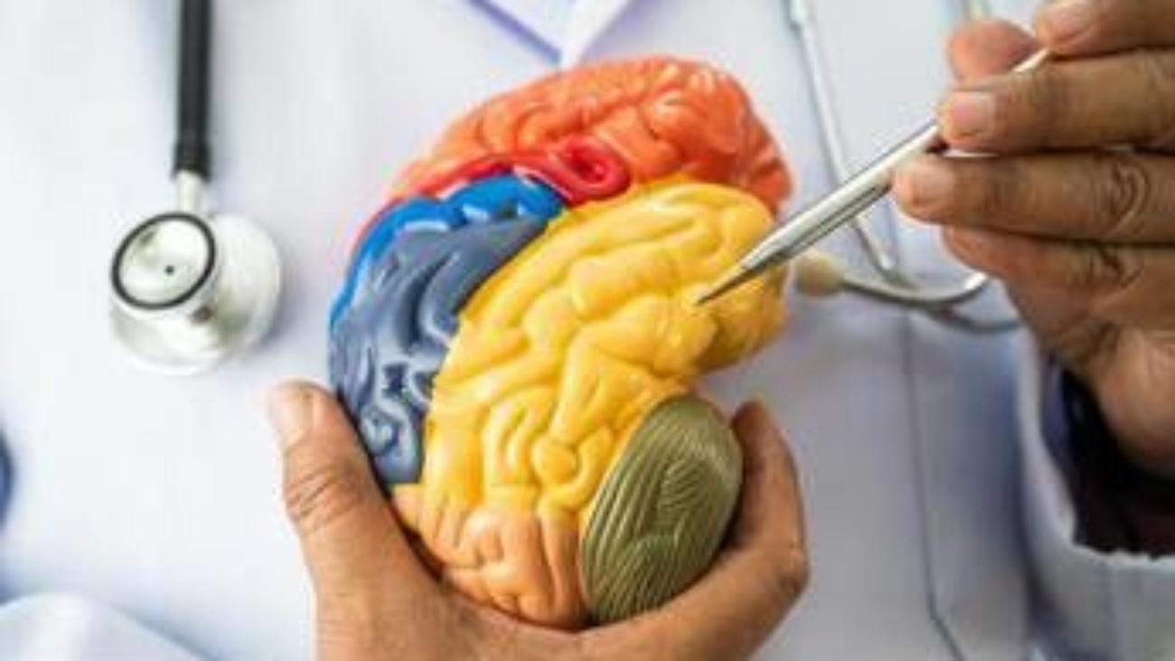 Malattie neuromuscolari e miastenia grave, nasce academyX per l'alta formazione