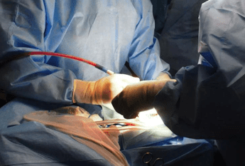 Trapianti, Ordine psicologi: "Morte Domenico choc collettivo, sostegno stabile a famiglia"