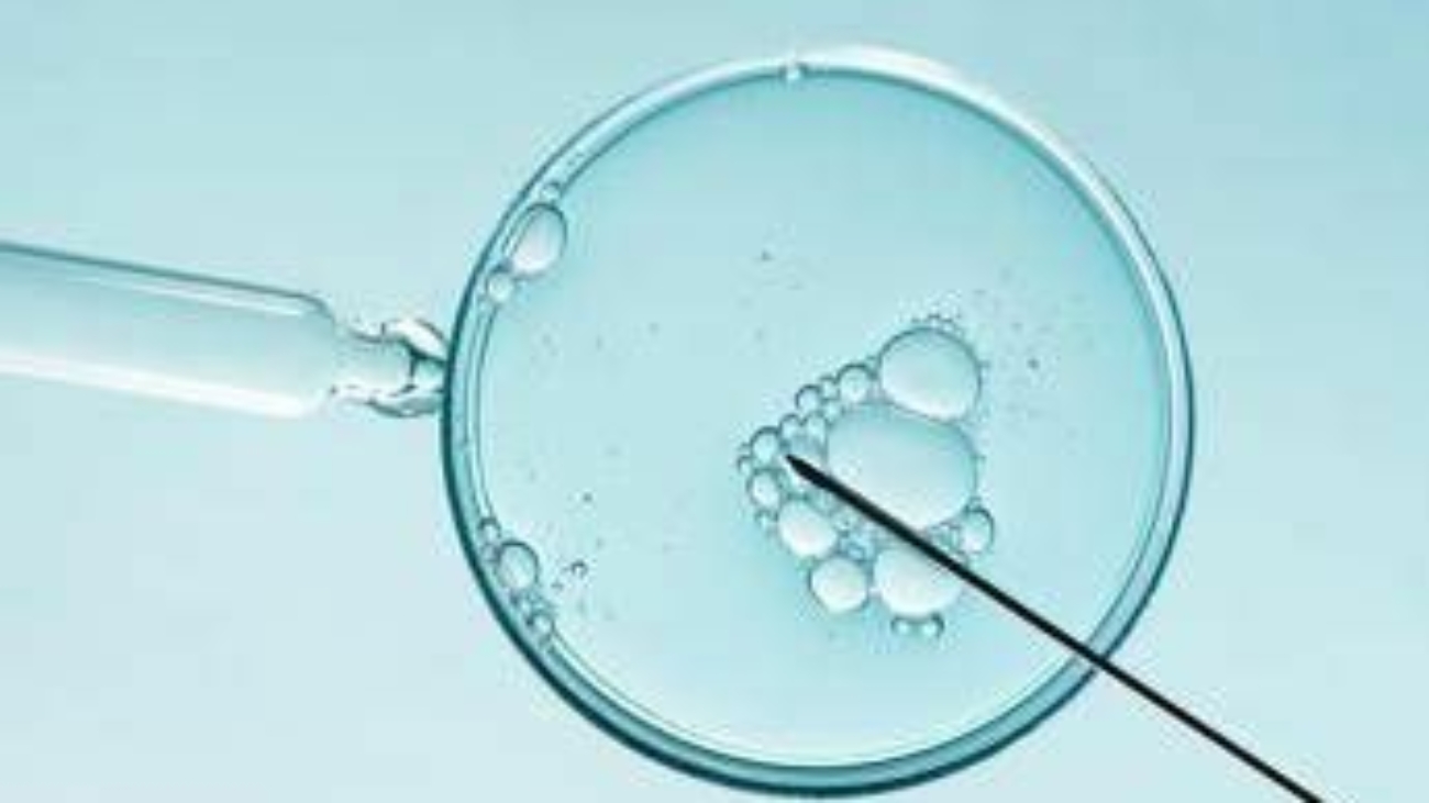 Mamme dopo i 35 anni con la Pma, studio apre nuove prospettive