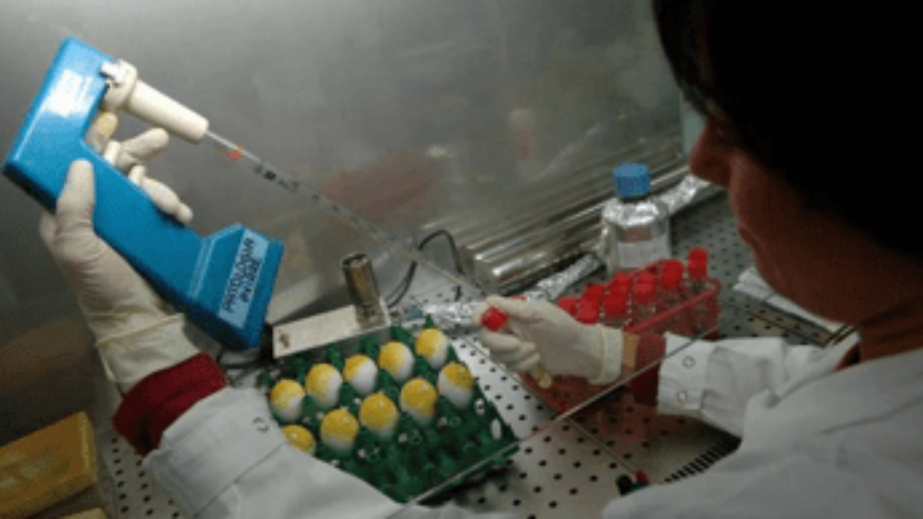 Lupus eritematoso, Moroni (San Raffaele): "Priorità approccio multidisciplinare"