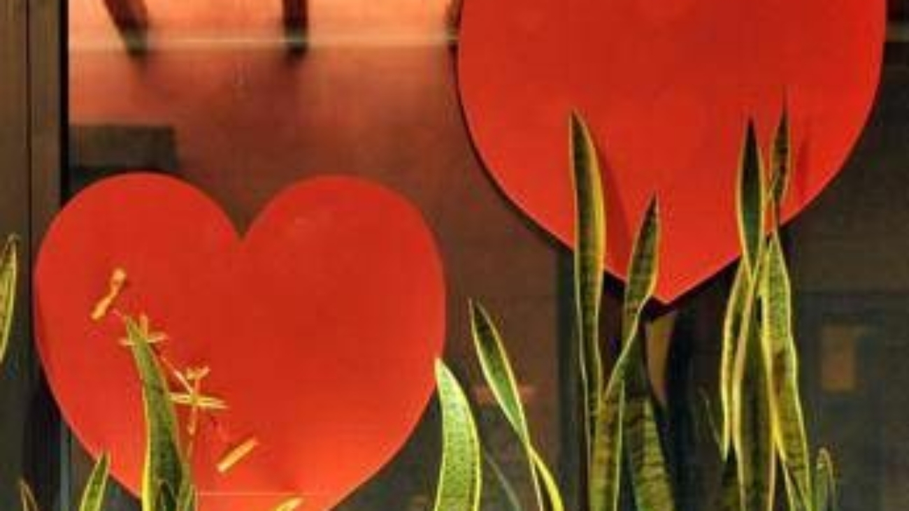 L'amore fa bene al cuore, lo dice la scienza: ecco cosa cambia se si è in coppia