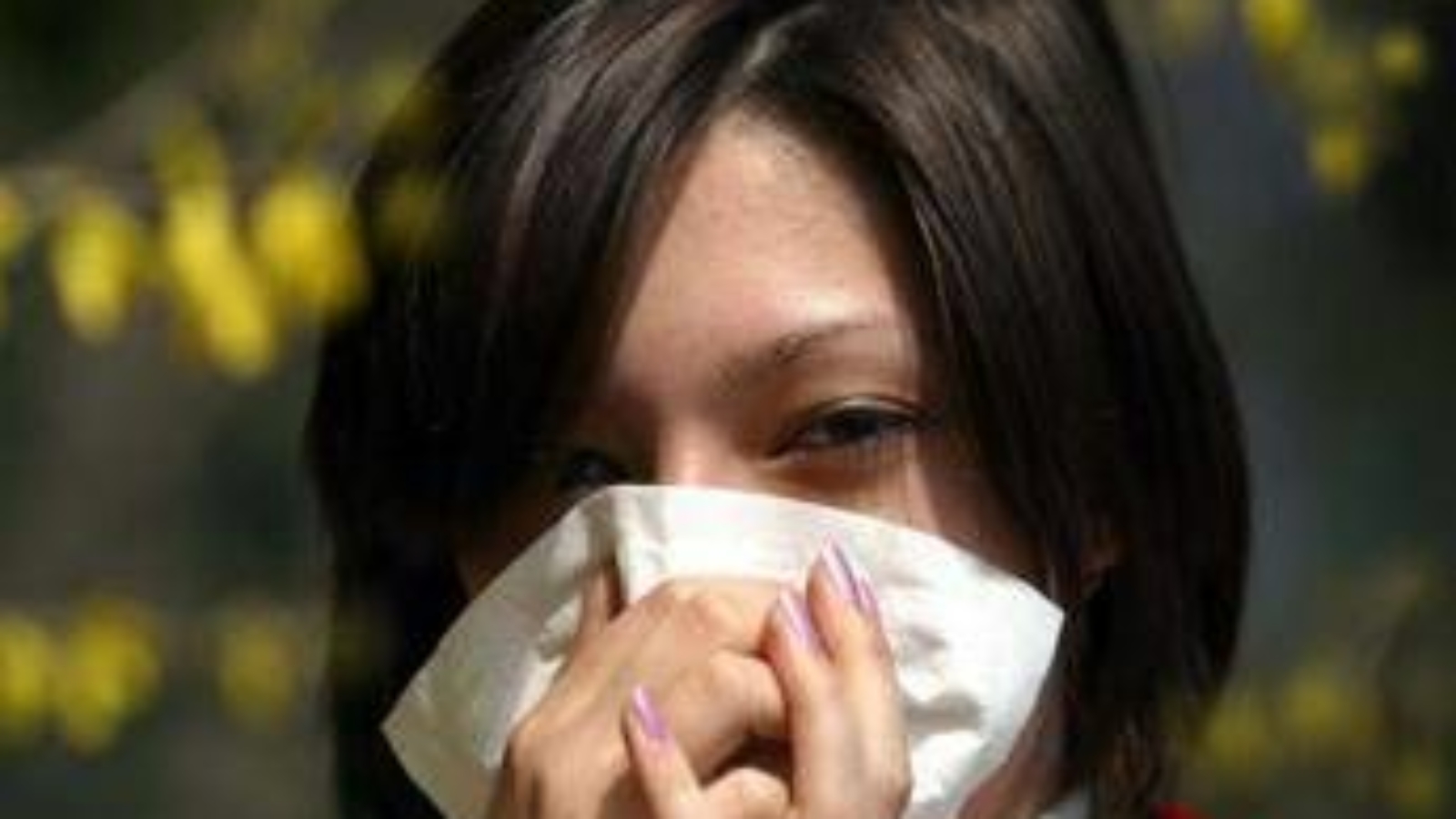Allergie: effetto pollini sugli esami di maturità, i voti calano quando sono nell'aria
