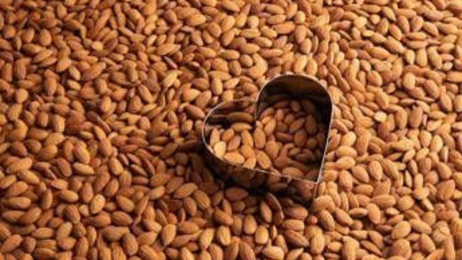 Salute: studio, &lsquo;consumo regolare di mandorle promuove salute del cuore&rsquo;