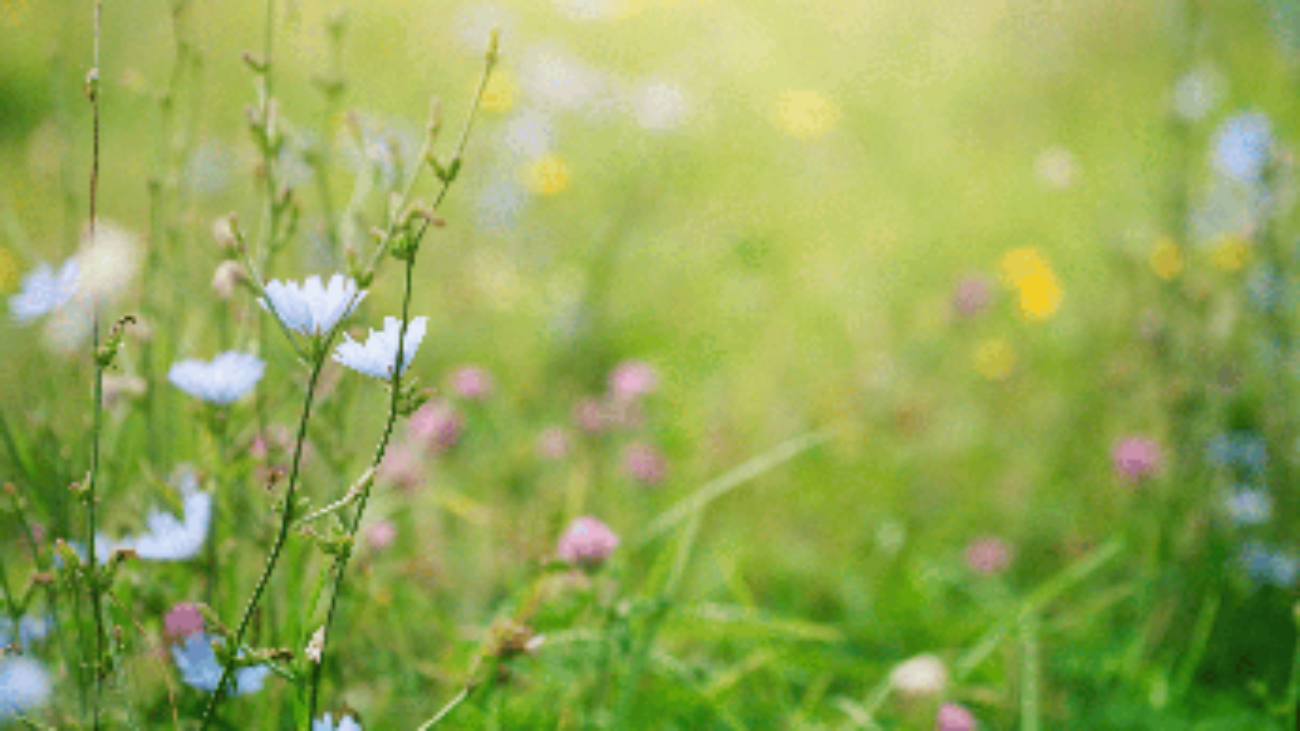 Primavera, i rischi del primo sole, la dermatologa: "Può anche scottare, abituare la pelle in modo progressivo"
