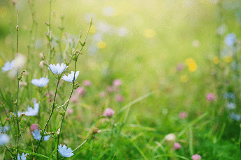 Primavera, i rischi del primo sole, la dermatologa: "Pu&ograve; anche scottare, abituare la pelle in modo progressivo"