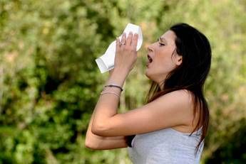Allergie al polline per 1 italiano su 3, Patella (Siaaic): "In aumento casi e anche gravit&agrave; per colpa del cambiamento climatico"